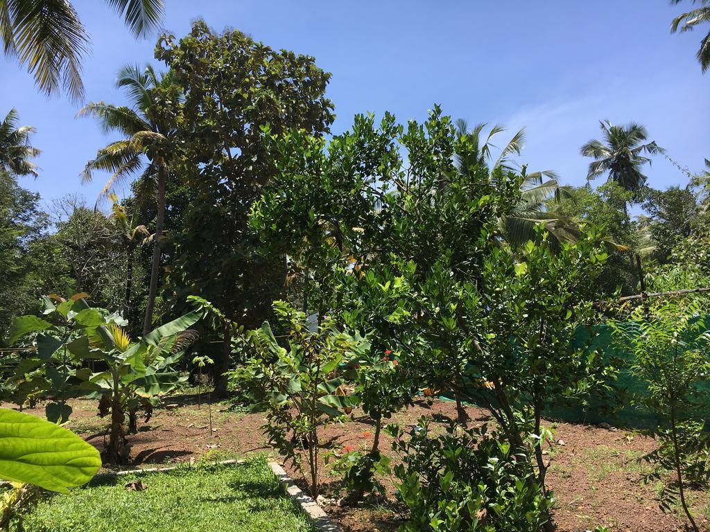 Divine Bliss Beach Resort Varkala Bagian luar foto
