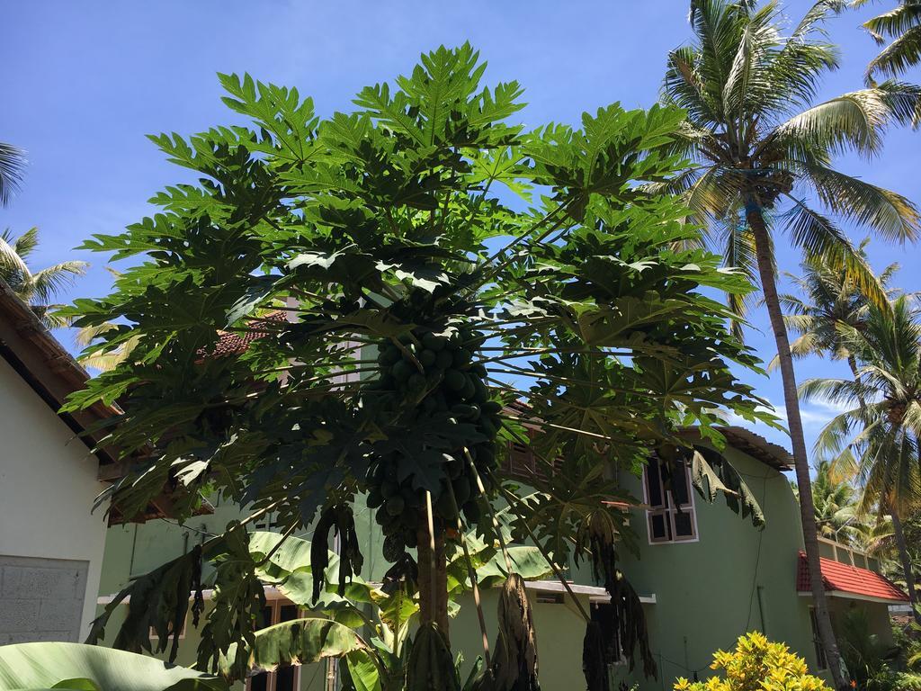 Divine Bliss Beach Resort Varkala Bagian luar foto