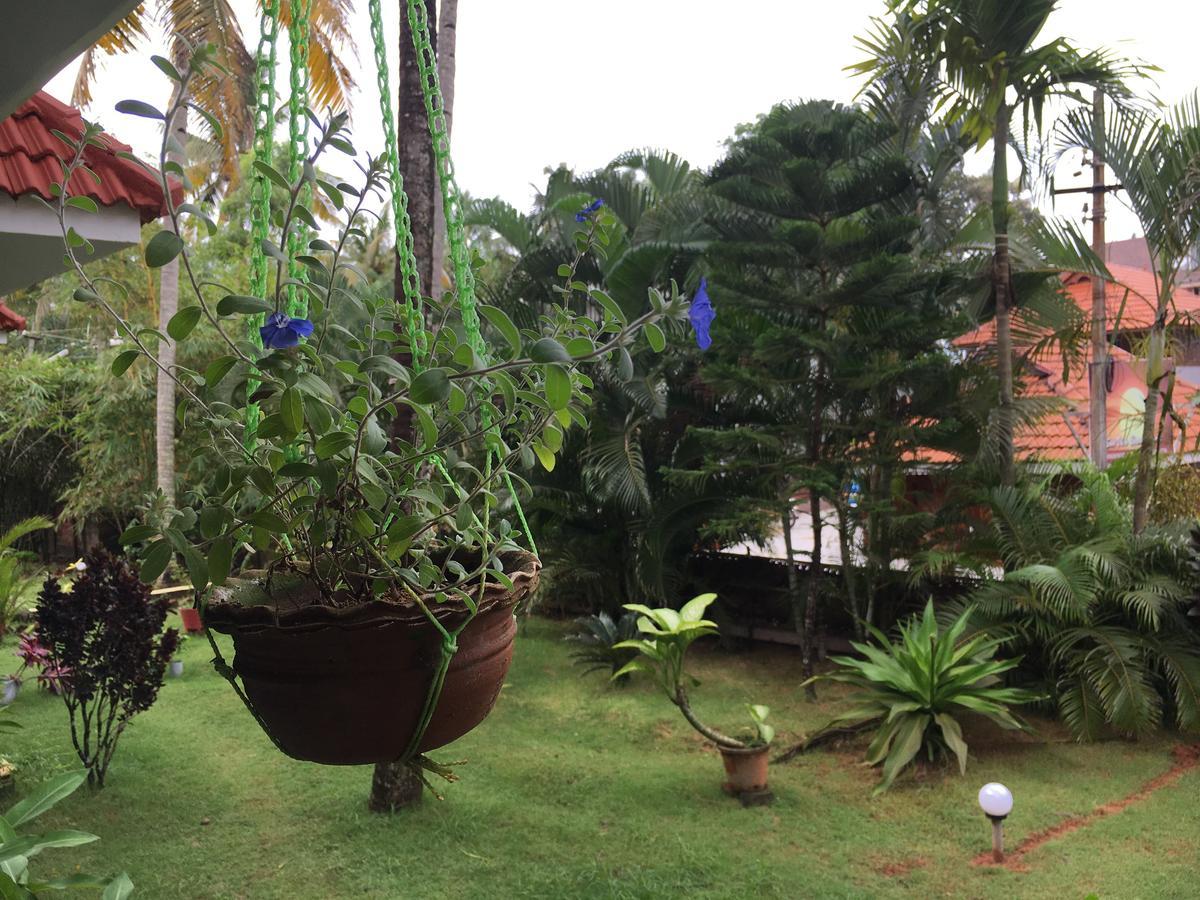 Divine Bliss Beach Resort Varkala Bagian luar foto