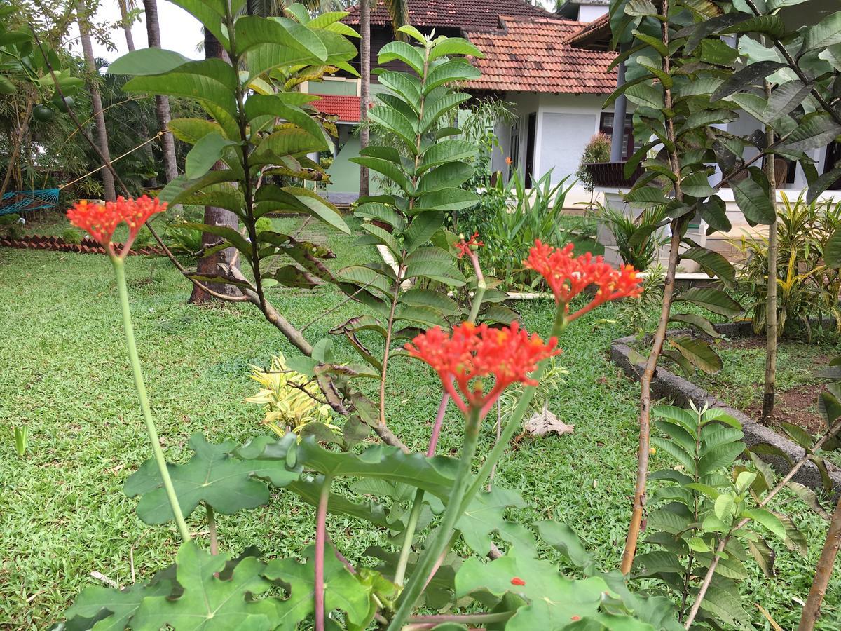 Divine Bliss Beach Resort Varkala Bagian luar foto