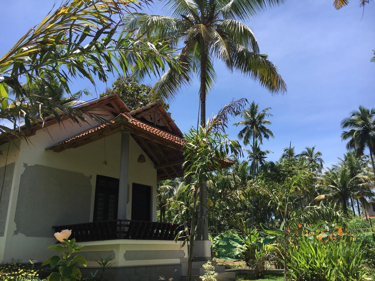 Divine Bliss Beach Resort Varkala Bagian luar foto
