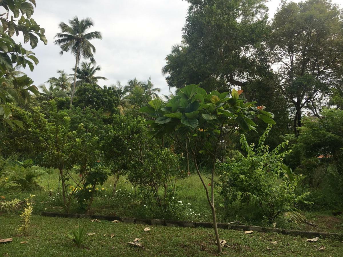 Divine Bliss Beach Resort Varkala Bagian luar foto