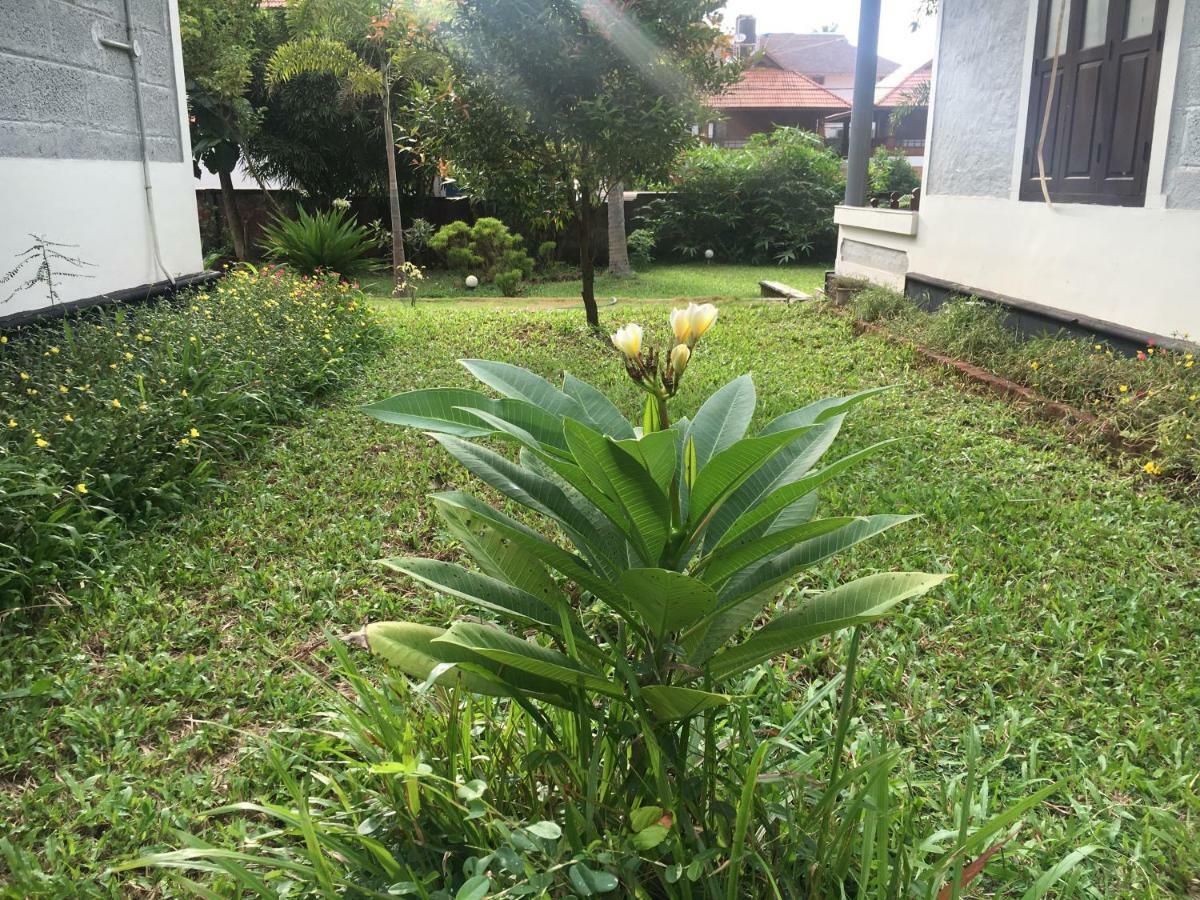 Divine Bliss Beach Resort Varkala Bagian luar foto
