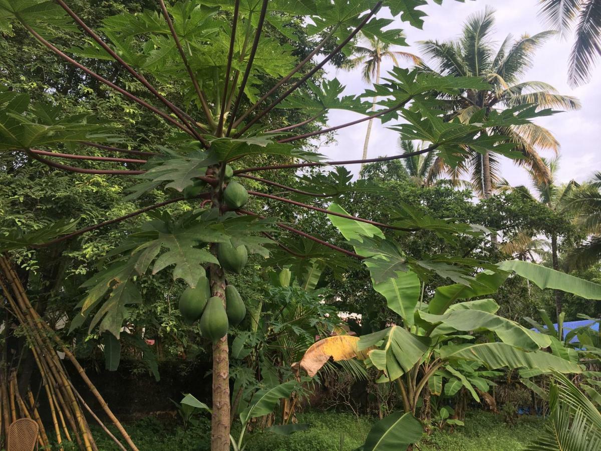 Divine Bliss Beach Resort Varkala Bagian luar foto
