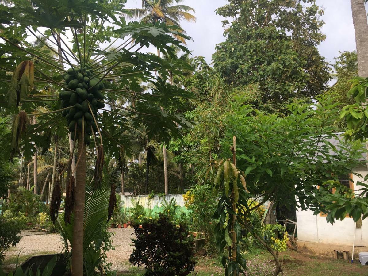 Divine Bliss Beach Resort Varkala Bagian luar foto