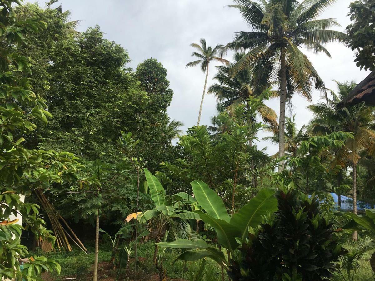 Divine Bliss Beach Resort Varkala Bagian luar foto