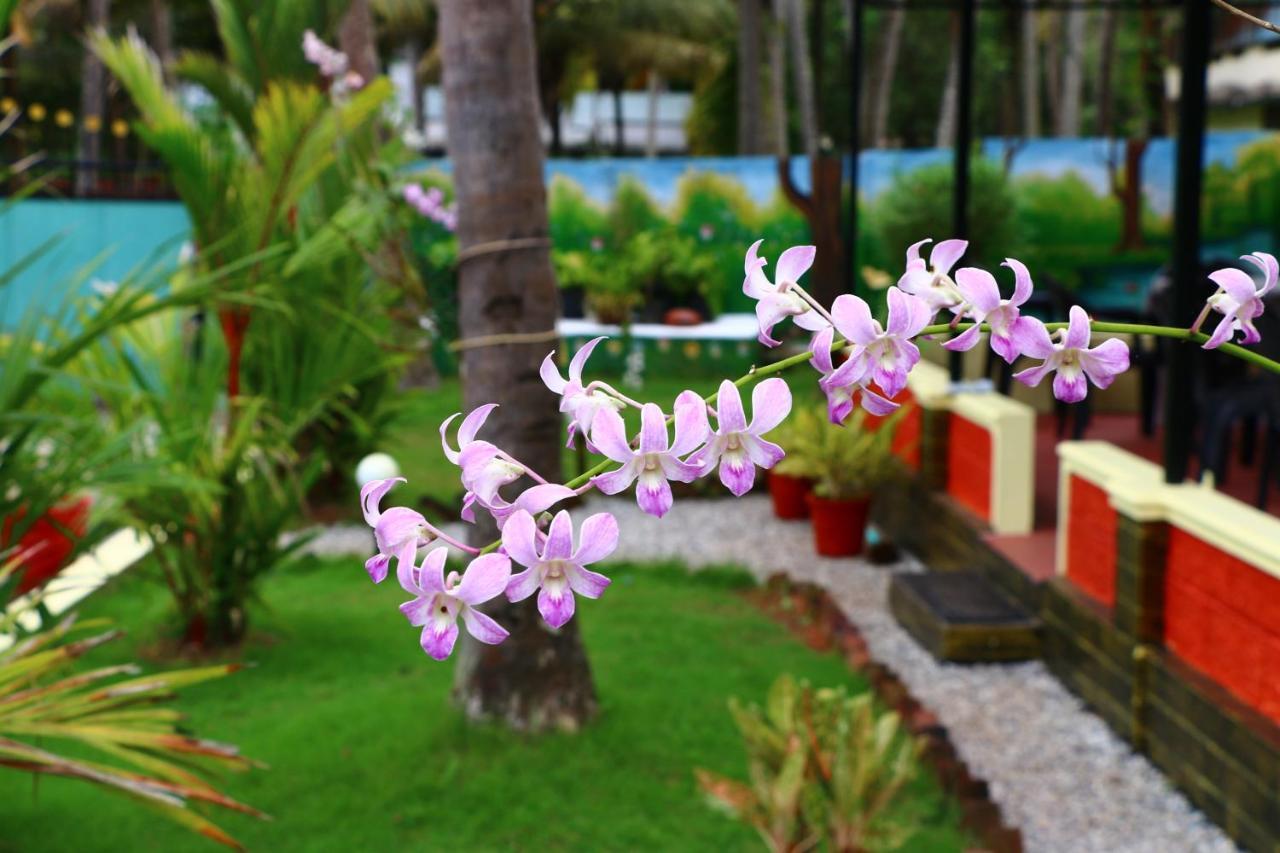 Divine Bliss Beach Resort Varkala Bagian luar foto